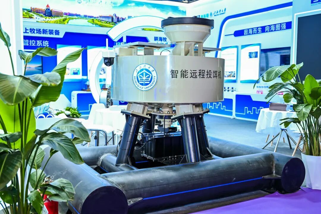 AI赋能海上牧场 激活“蓝色粮仓”.jpg